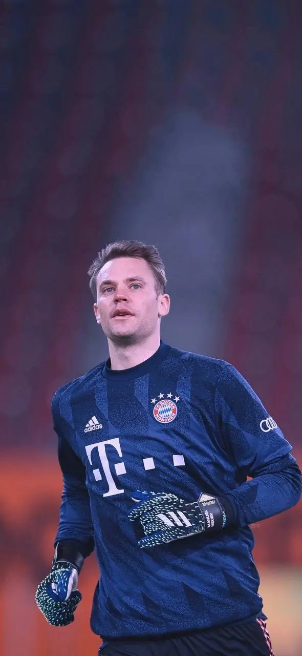 虽无隆重的 虽无隆重的