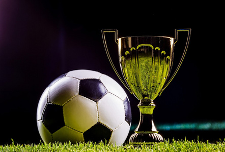 徵著冠軍的 徵著冠軍的