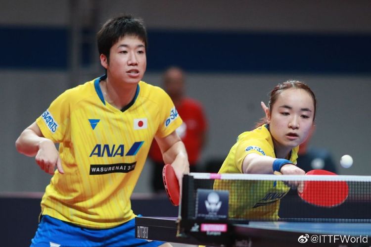 城罗德里类 城罗德里类