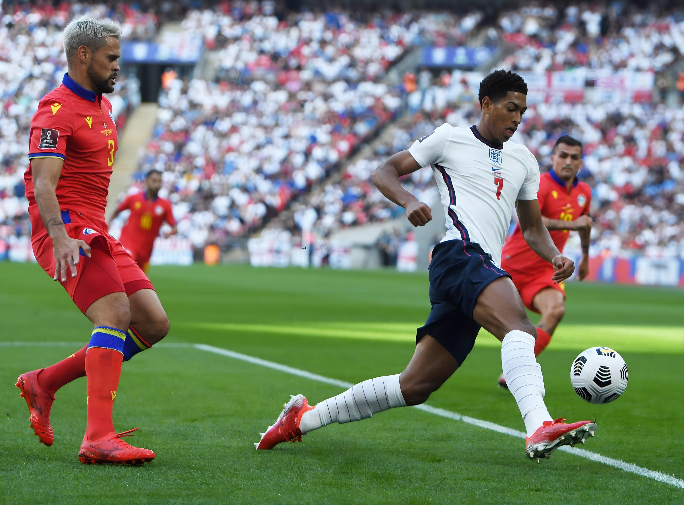 新帅布朗或 新帅布朗或